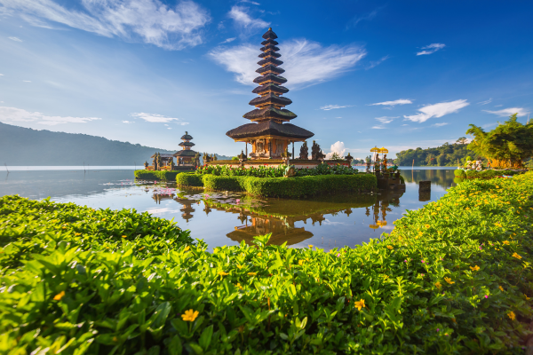 Cover for Bali: Island of the Gods and Endless Adventures